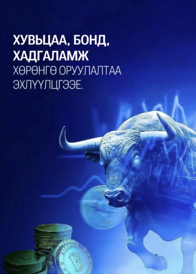Хөрөнгө оруулалтын тэмдэглэлийн дэвтрийн нүүр
